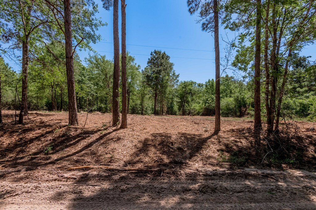 Property Photo: 6077 Tract 1 Cr 4200 TX 75856
