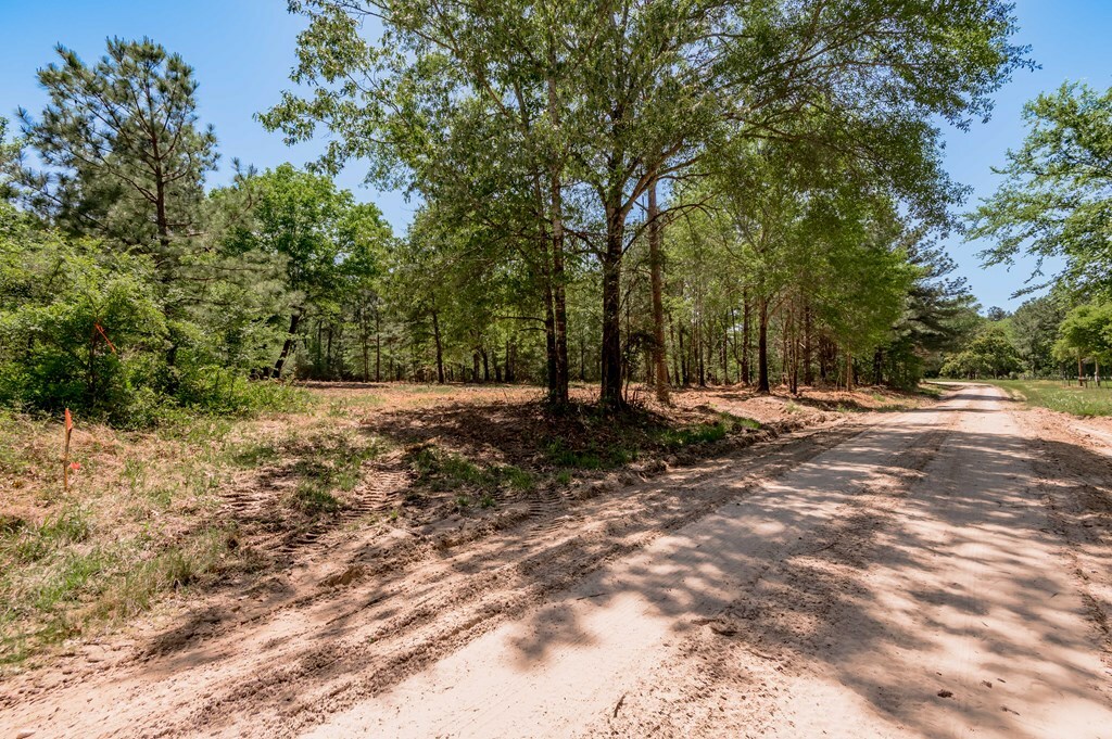 Property Photo: 6077 Tract 2 Cr 4200 TX 75856