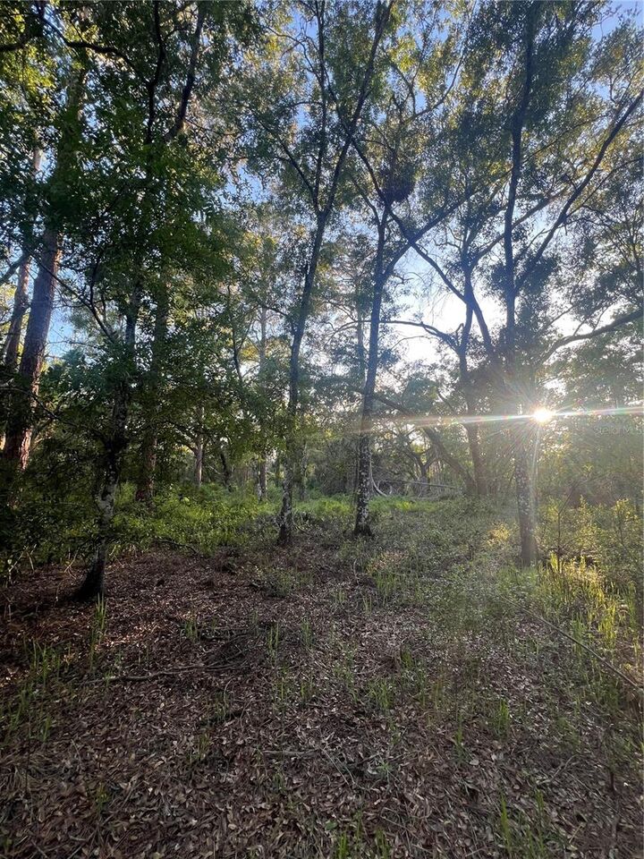 Pinon Drive  Webster FL 33597 photo