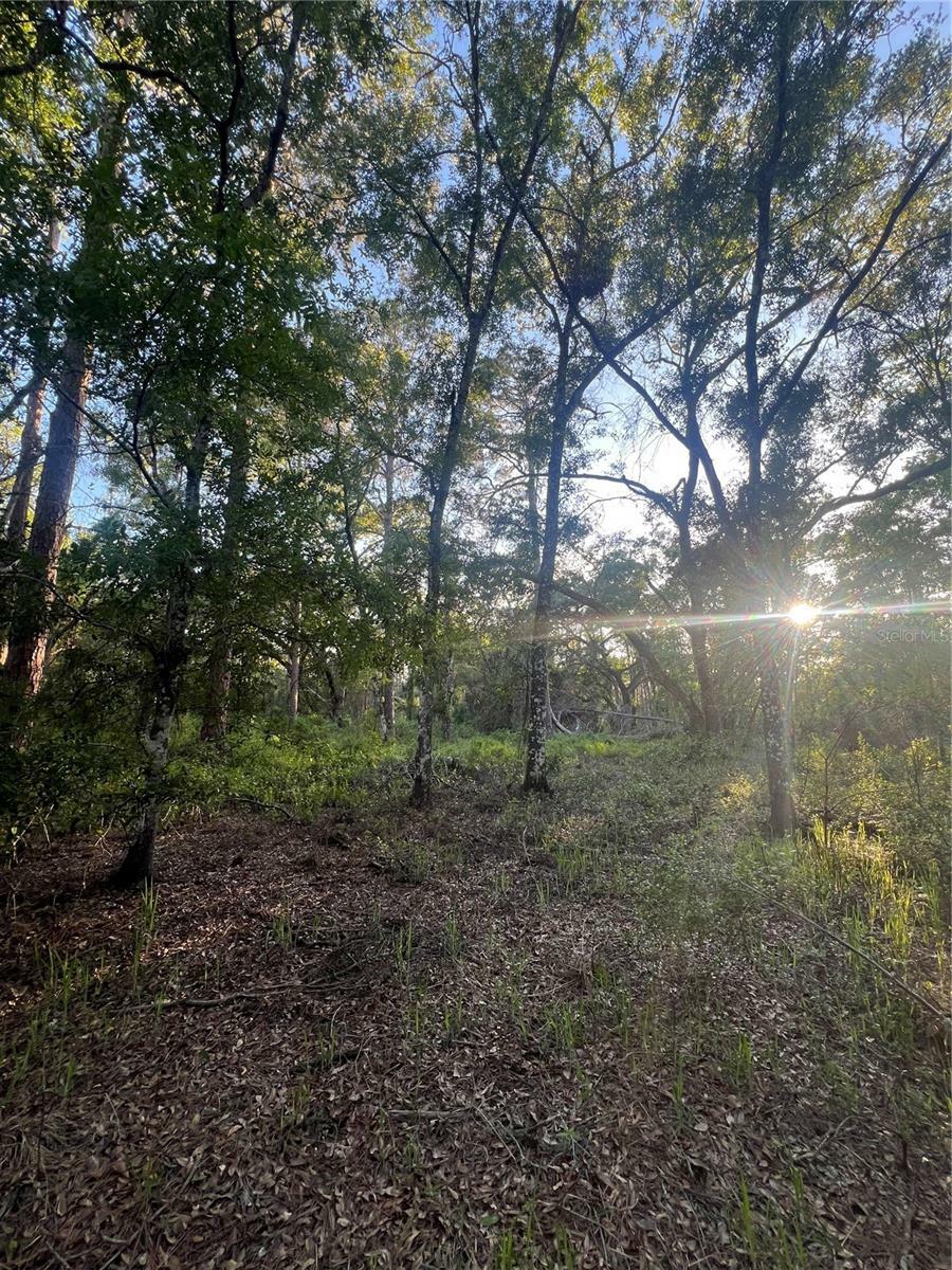 Property Photo: Pinon Drive FL 33597