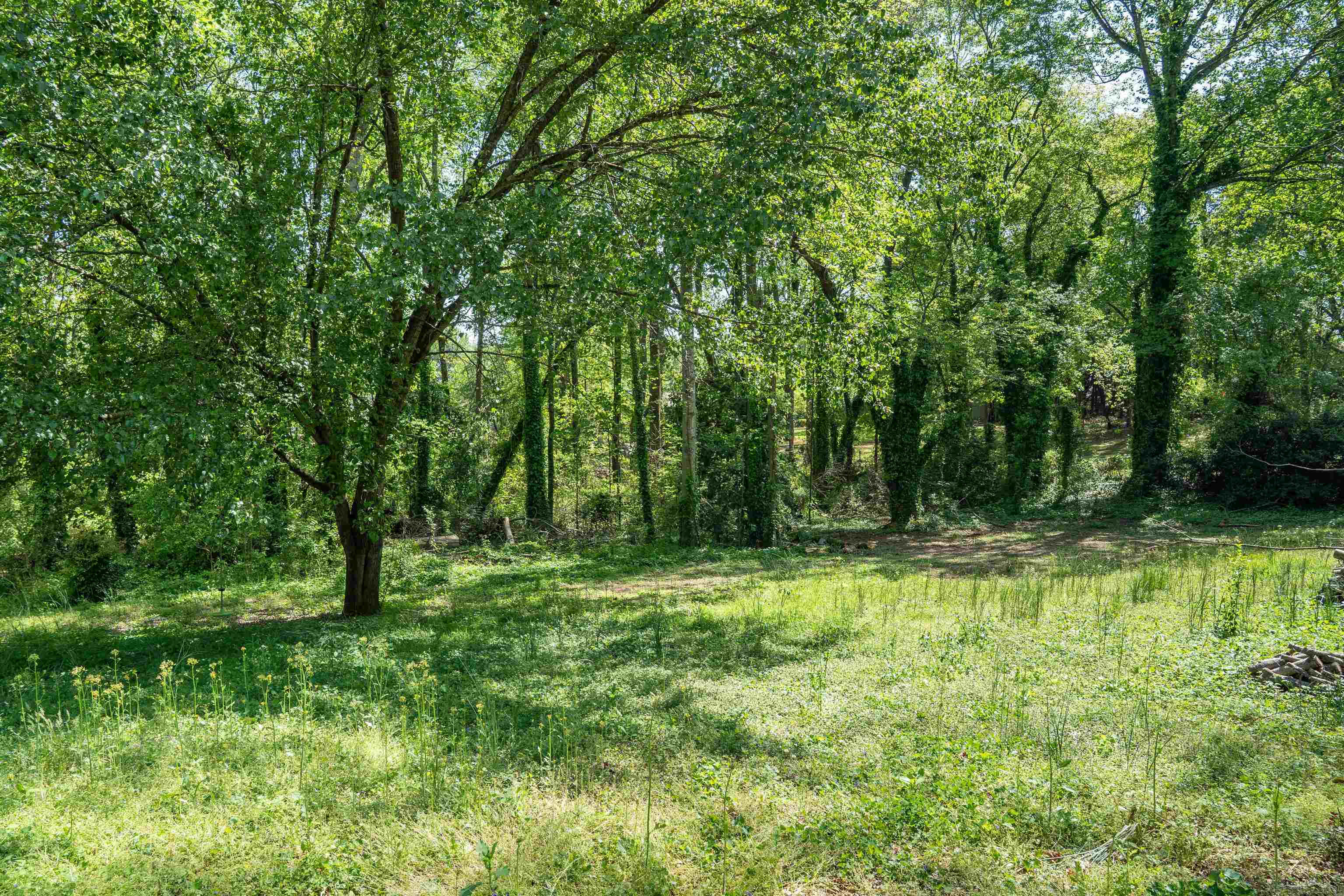 Property Photo: 102 Cinderridge Drive SC 29301
