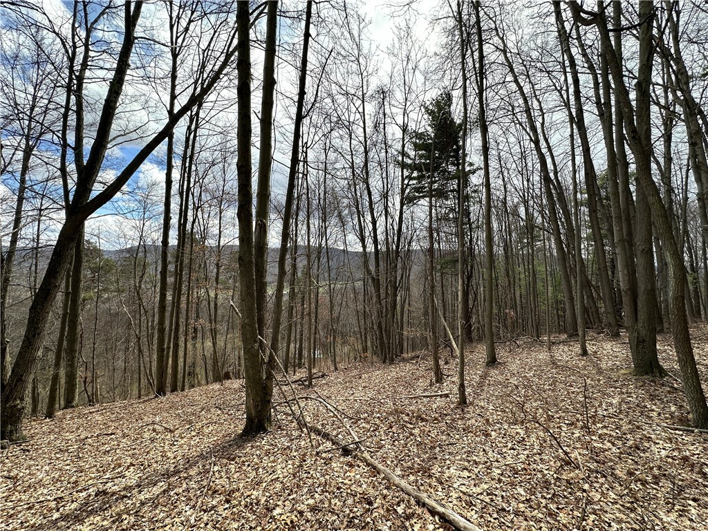 7607 Snell Road  Hammondsport NY 14840 photo