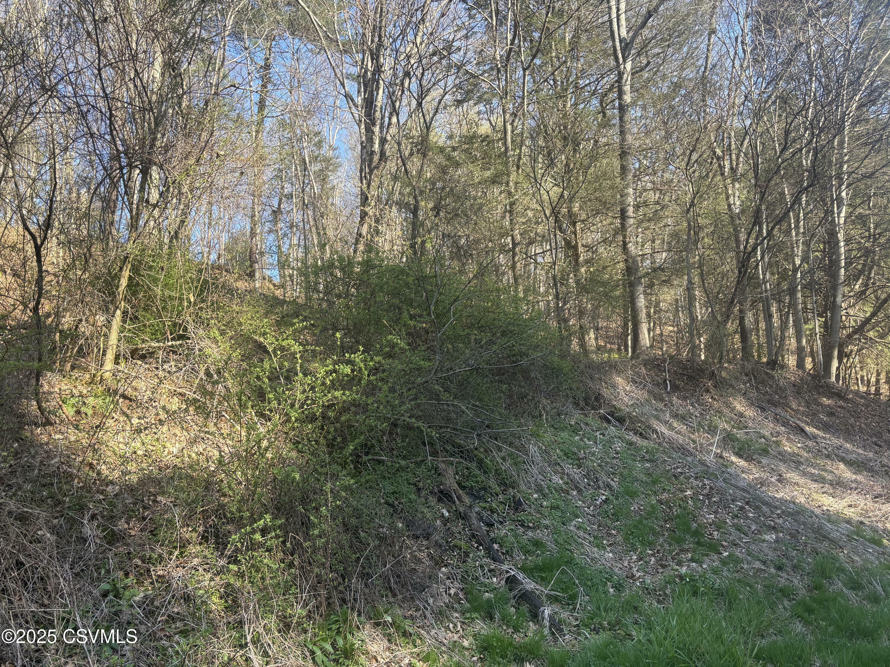 Property Photo: Mellick Hollow Road PA 17815