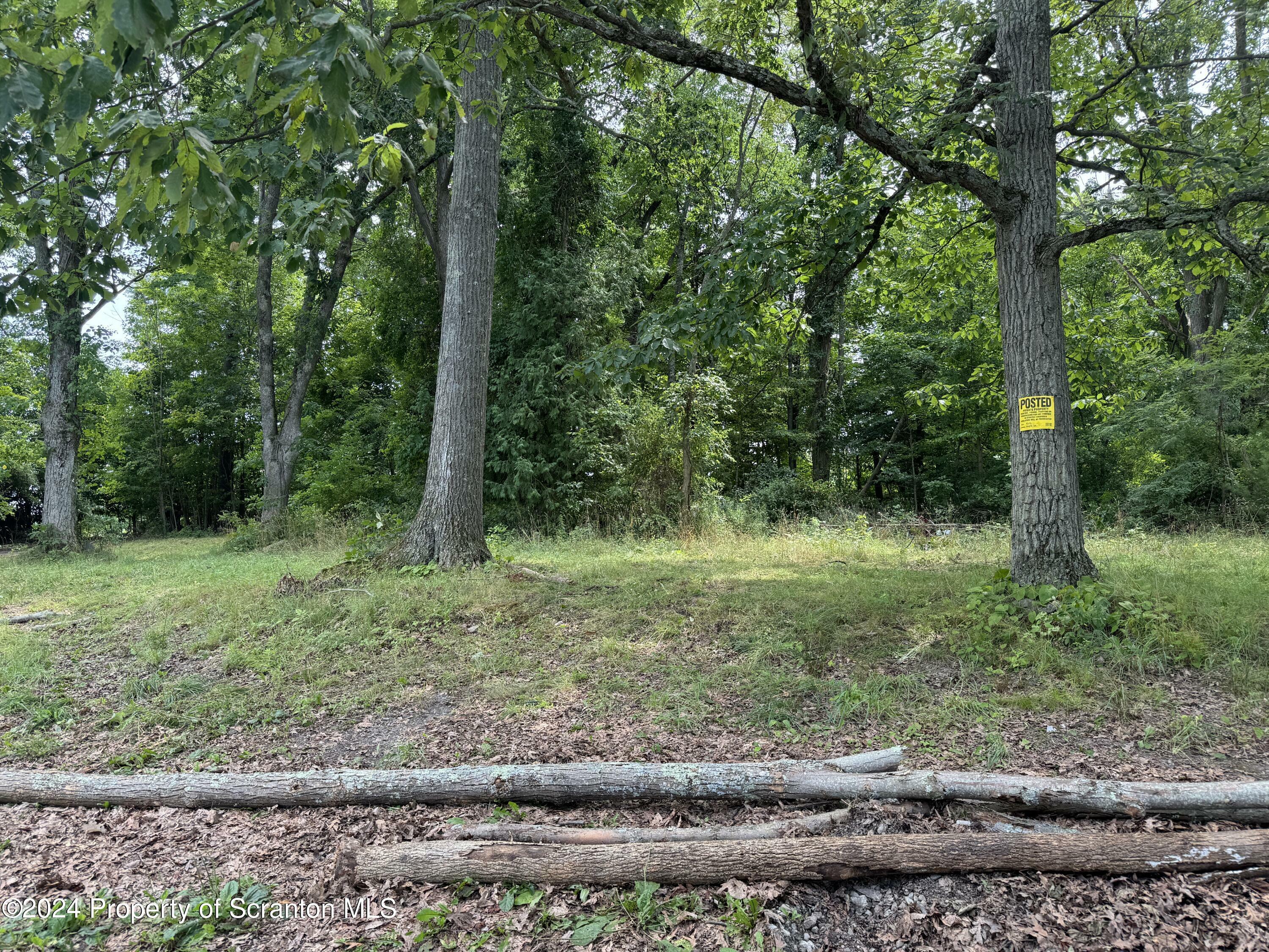 Property Photo: Rt 307 &Amp Trout Lane PA 18625