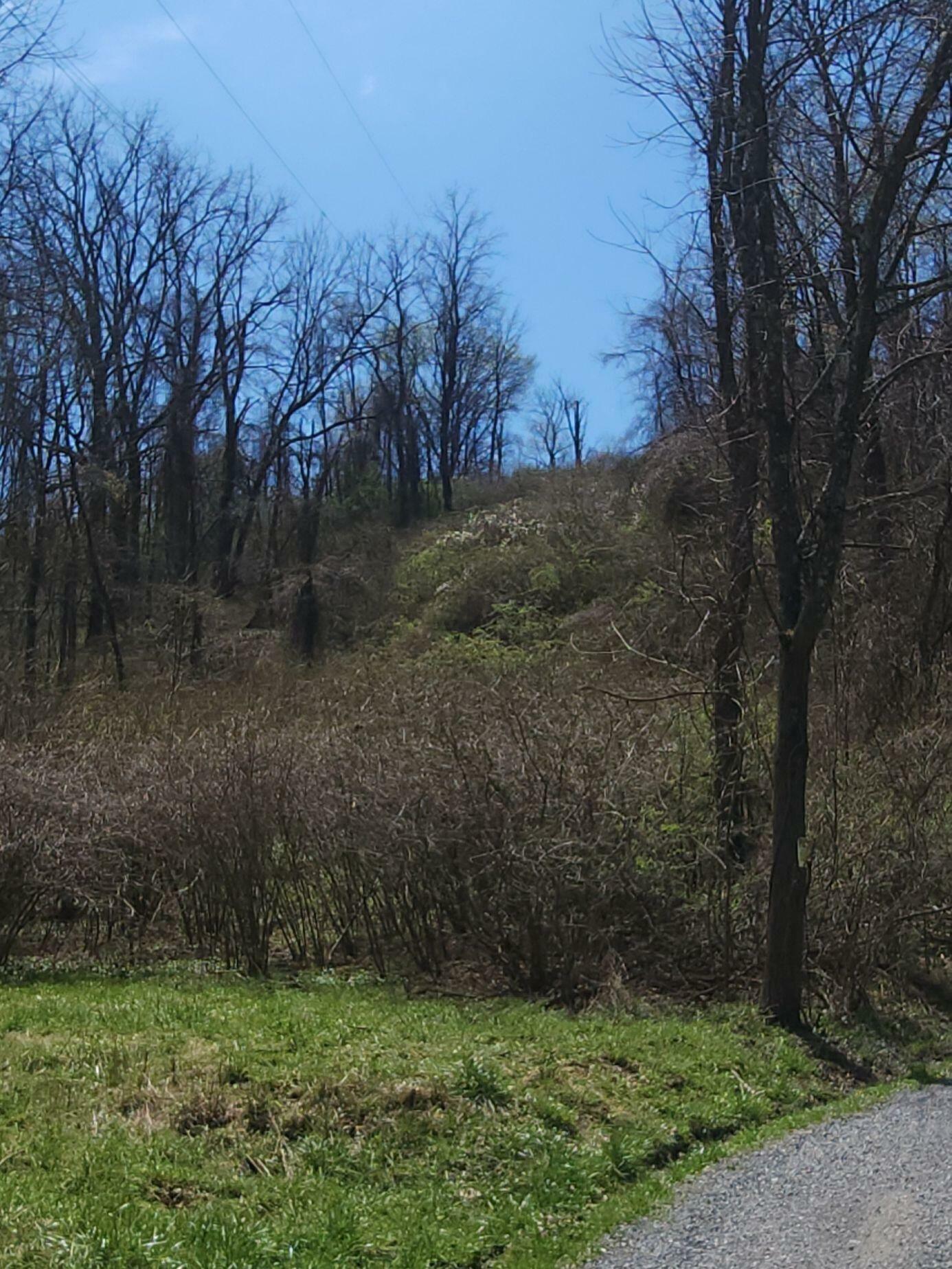 Property Photo: 7.28 Acres G.w. Lane WV 24970