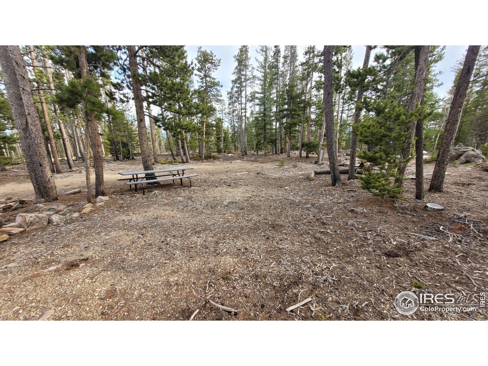 Property Photo:  1421 Jicarilla Trl  CO 80545 
