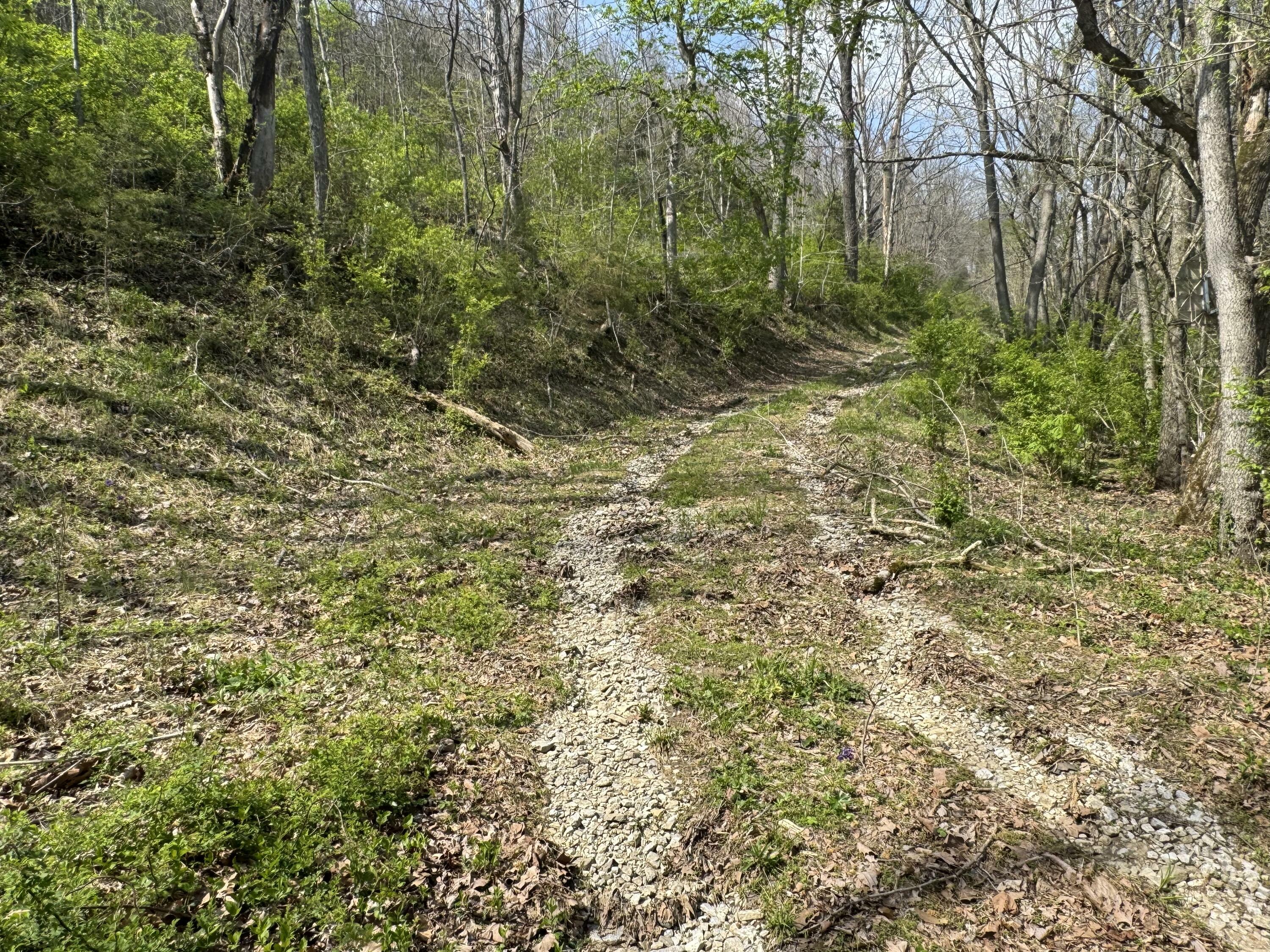 Property Photo: 0000 Tates Creek Road KY 40475