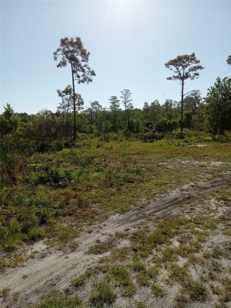 Property Photo: Krazy Court FL 34773