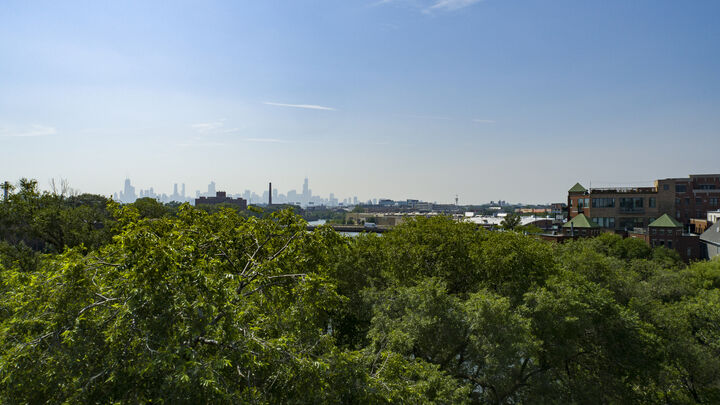 Property Photo: 2235 W Oakdale Avenue 15-C IL 60618