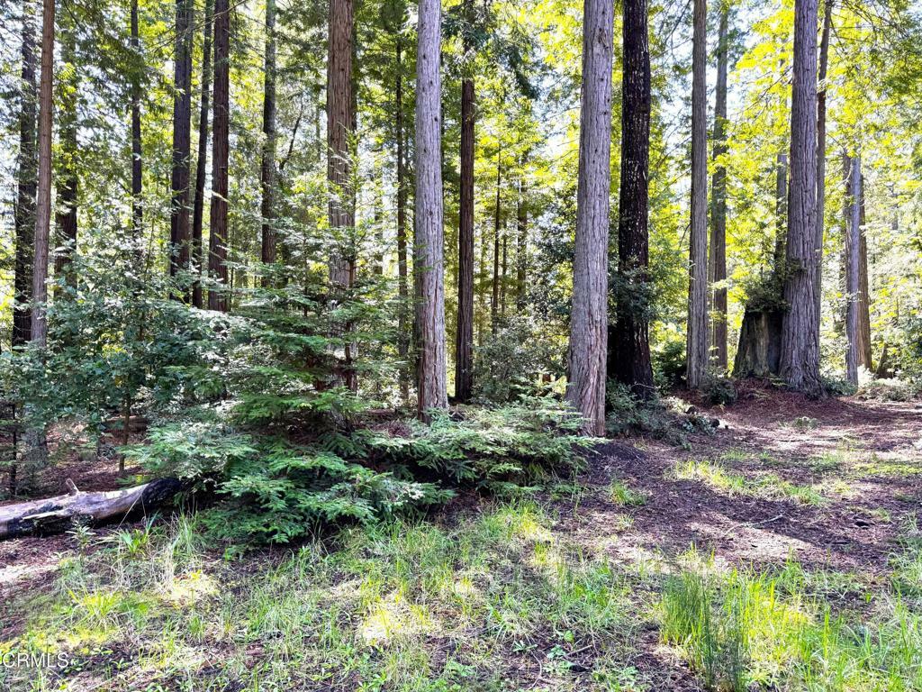 Property Photo:  43700 Tibbens Lane  CA 95460 