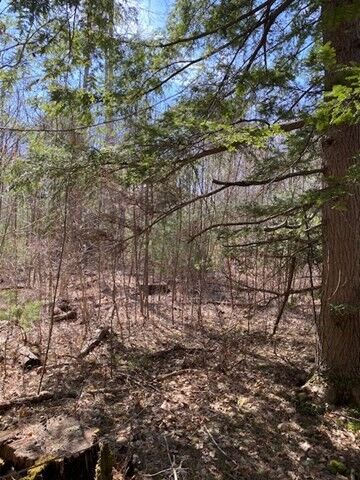 Property Photo:  9-L New Athol Rd  MA 01366 