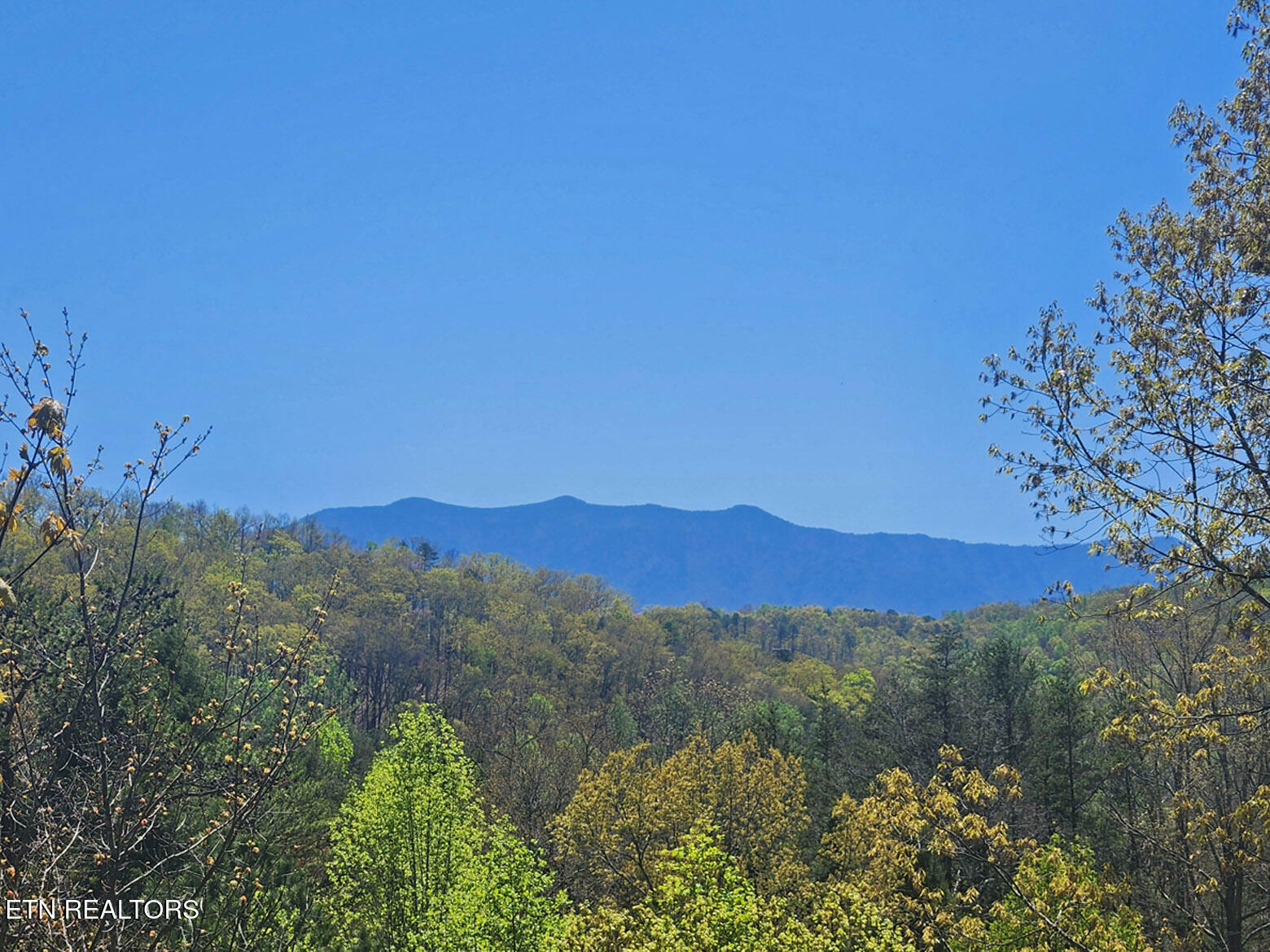 Property Photo: 1609 Majestic Oak Way TN 37862