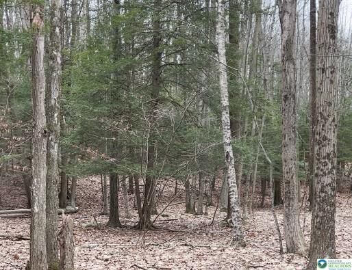 Property Photo: 153 Pine Tree Drive PA 18326