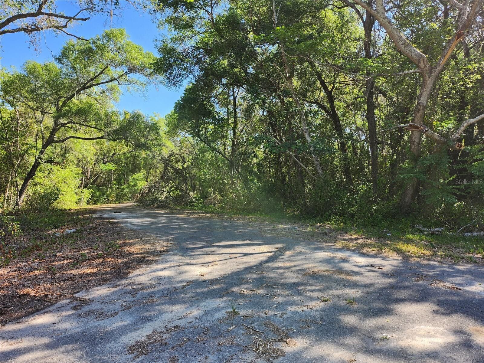 Property Photo: Tbd Guava Terr Loop FL 32179