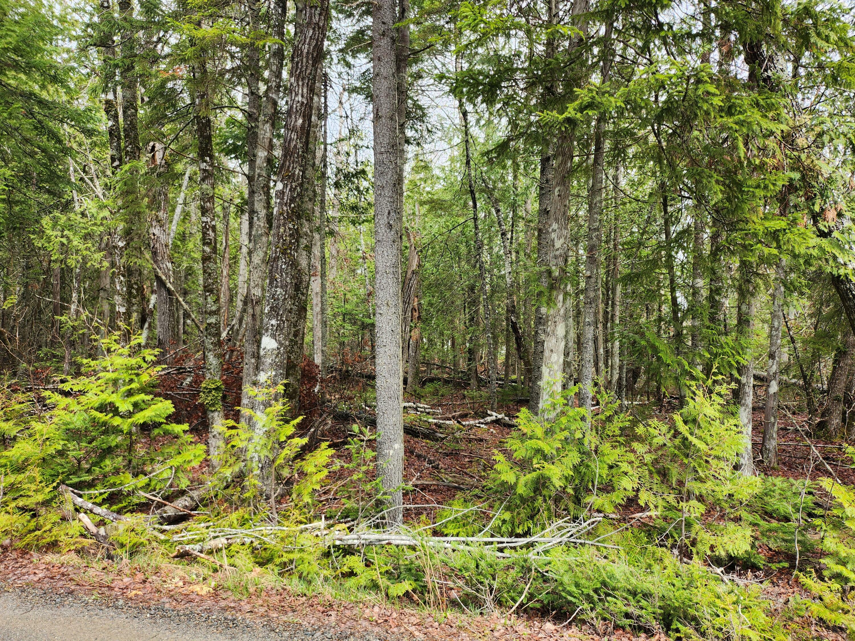 Property Photo: Lot 64 Coffins Neck Road ME 04652