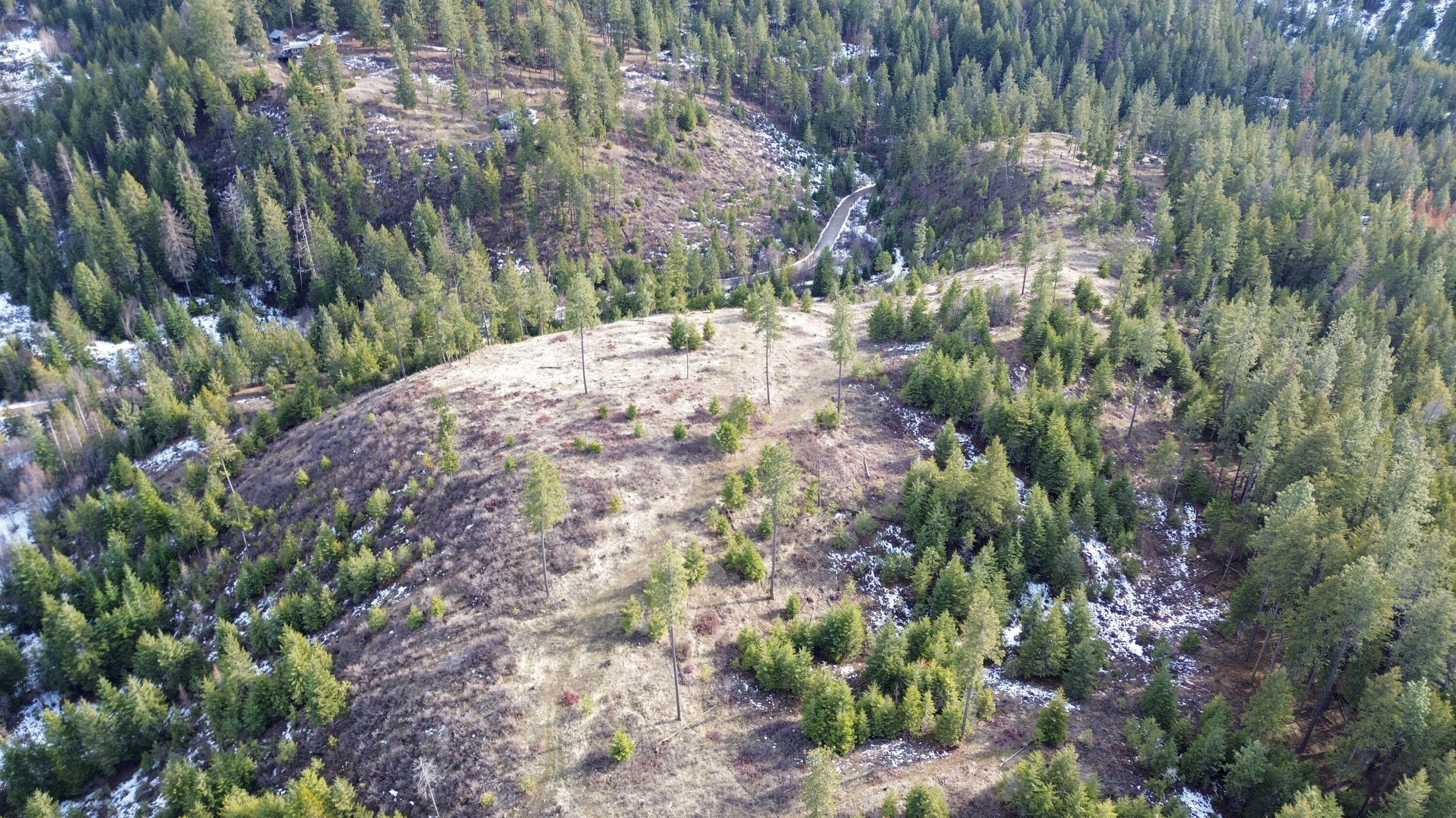 Property Photo: 35xx Harms Way WA 99181