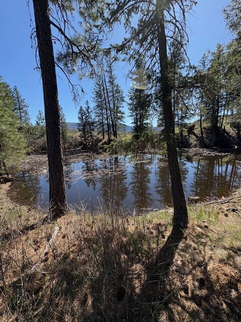 Property Photo:  Nkn West Fork Combest Creek Road  MT 59859 