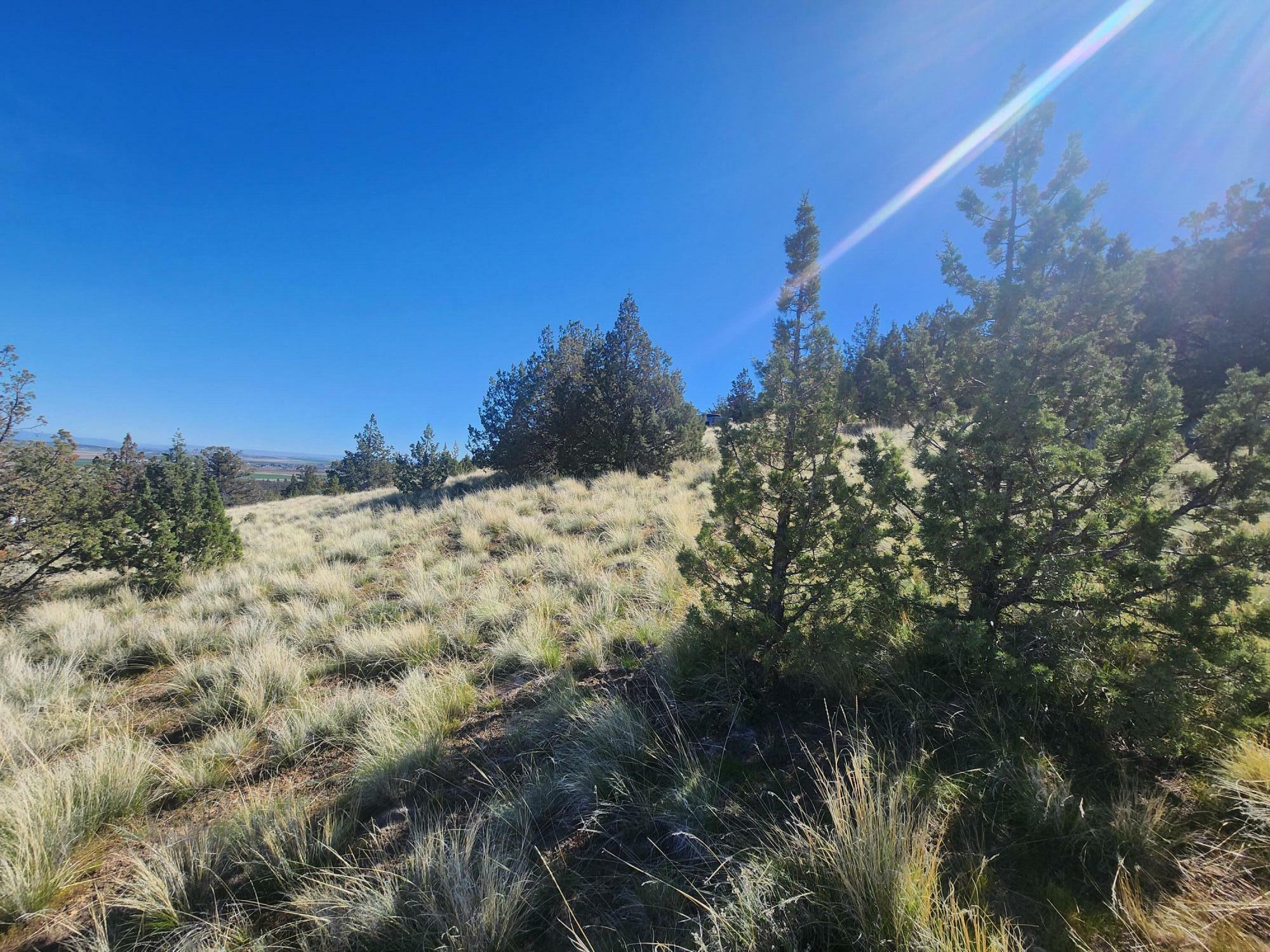 Property Photo:  2100 SW Mintken Lane  OR 97734 