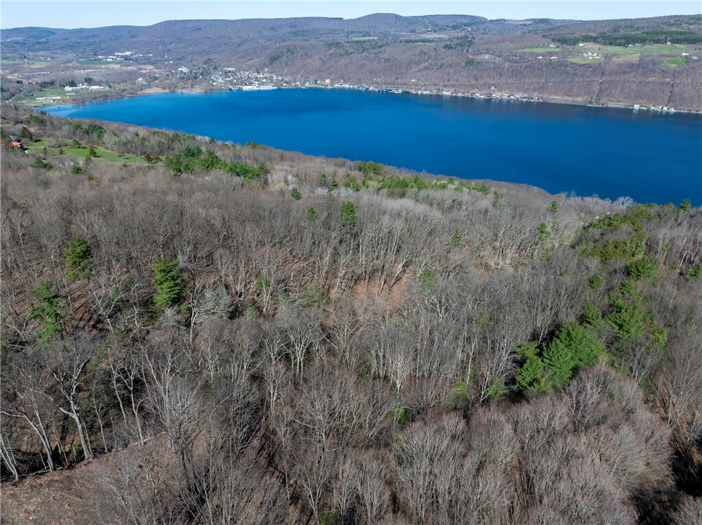 0 County Route 87 Road  Hammondsport NY 14840 photo