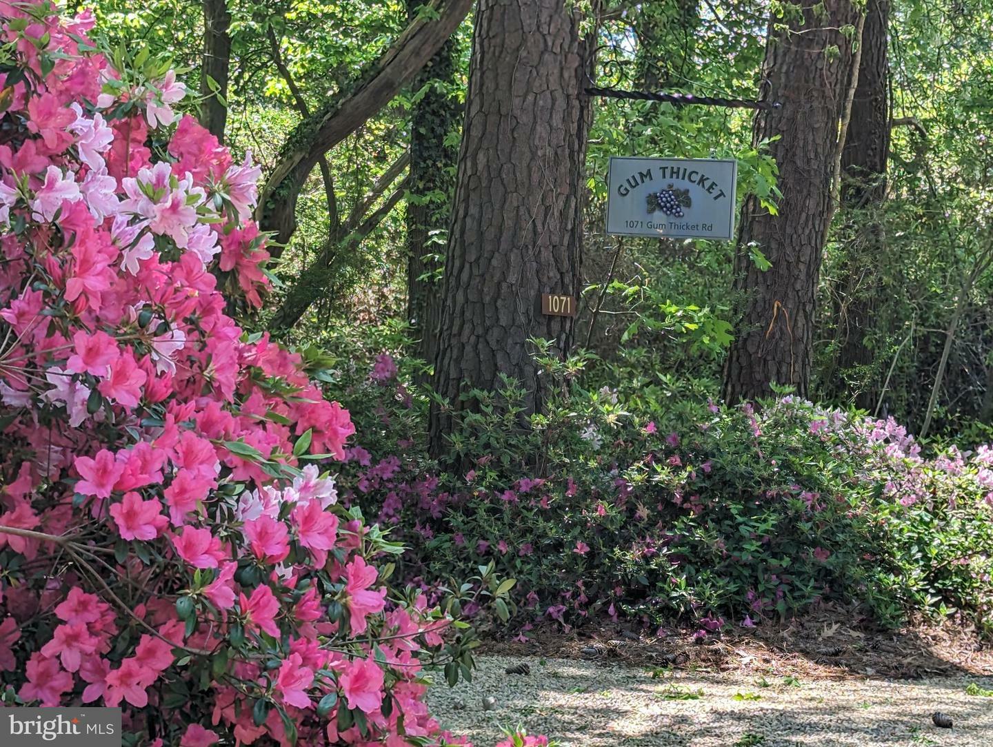 Property Photo: 1071 Gum Thicket Road VA 23066