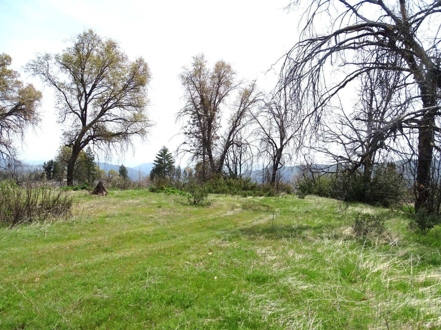 Property Photo: 36728 Peterson Road CA 93602