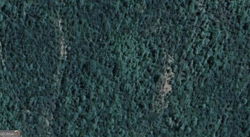 Property Photo: 1765 High Falls Road GA 30223