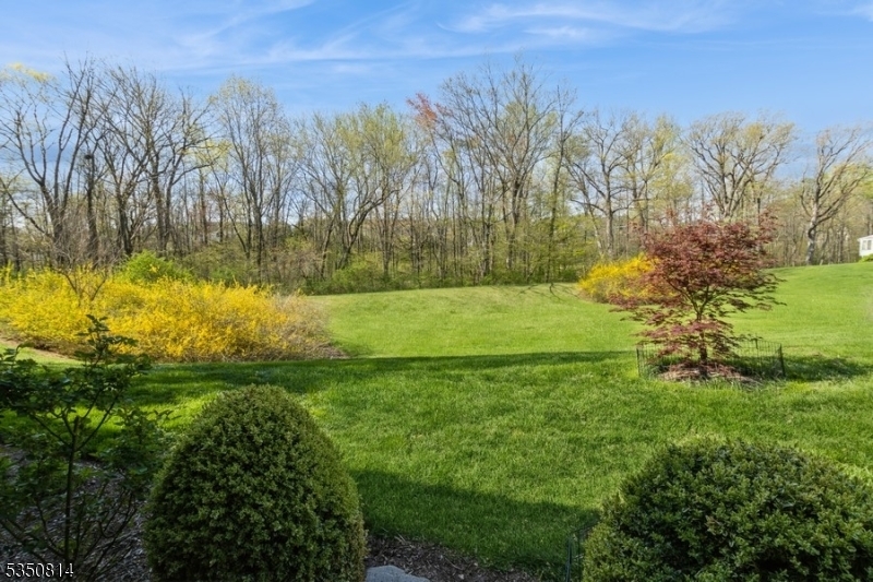 Property Photo: 9 Deerfield Ct NJ 07920