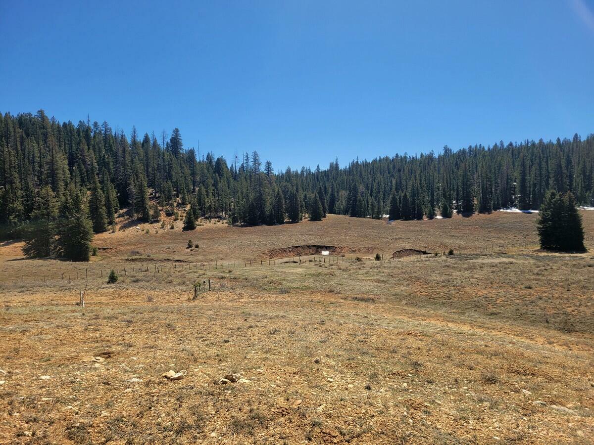 Property Photo:  530 N Grassy Trail  UT 84762 