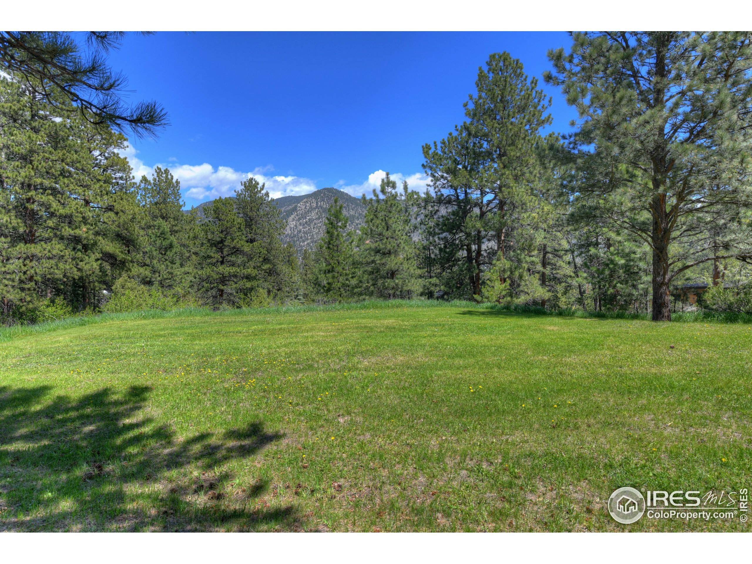 Property Photo: 234 Deer Ln CO 80540