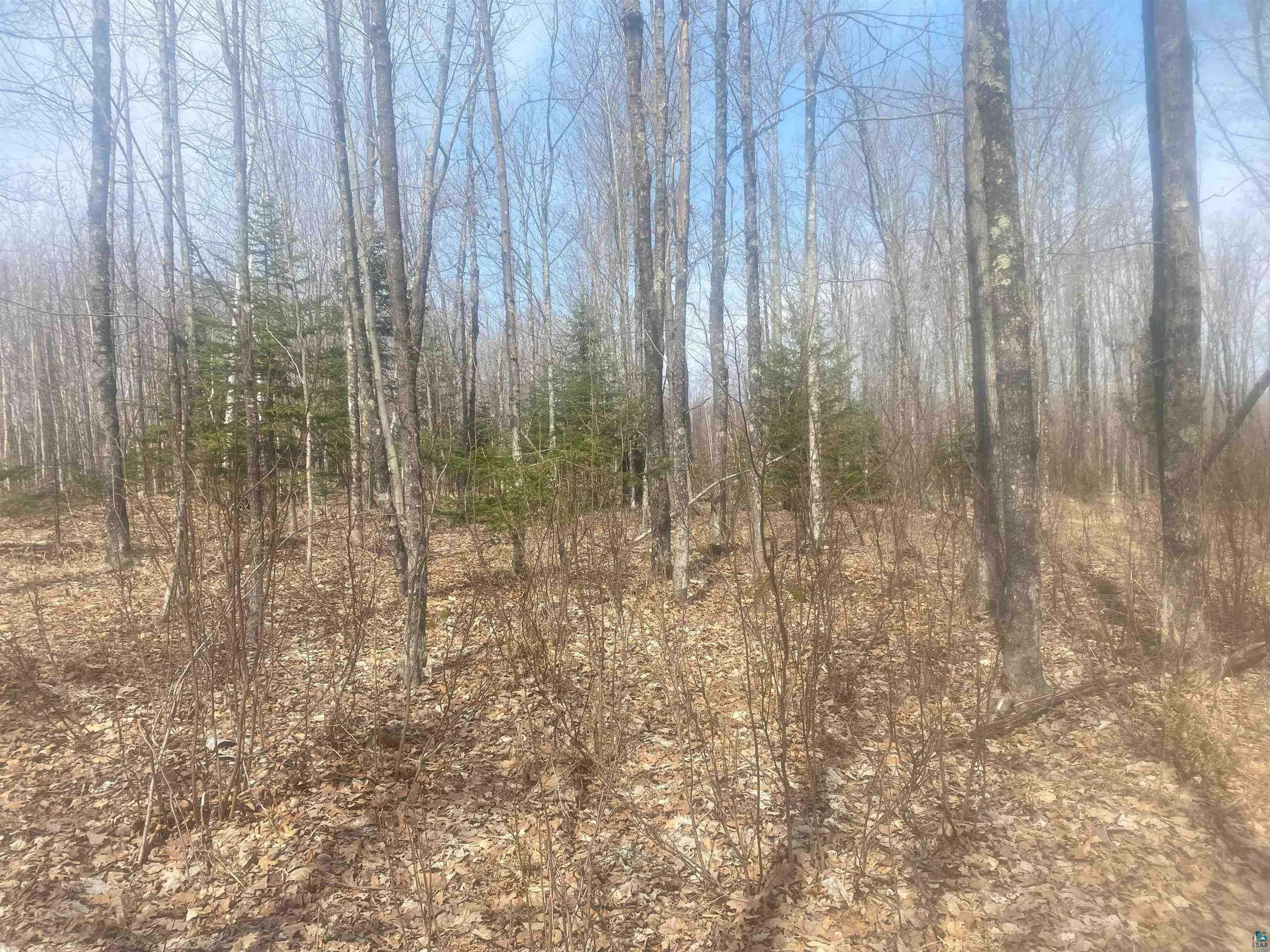 Property Photo: Tbd E Old Hwy 13 WI 54844