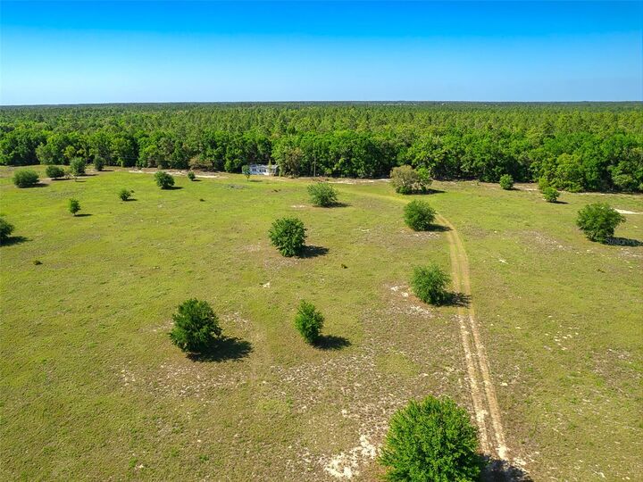Property Photo:  11002 SW 282nd Street  FL 32669 