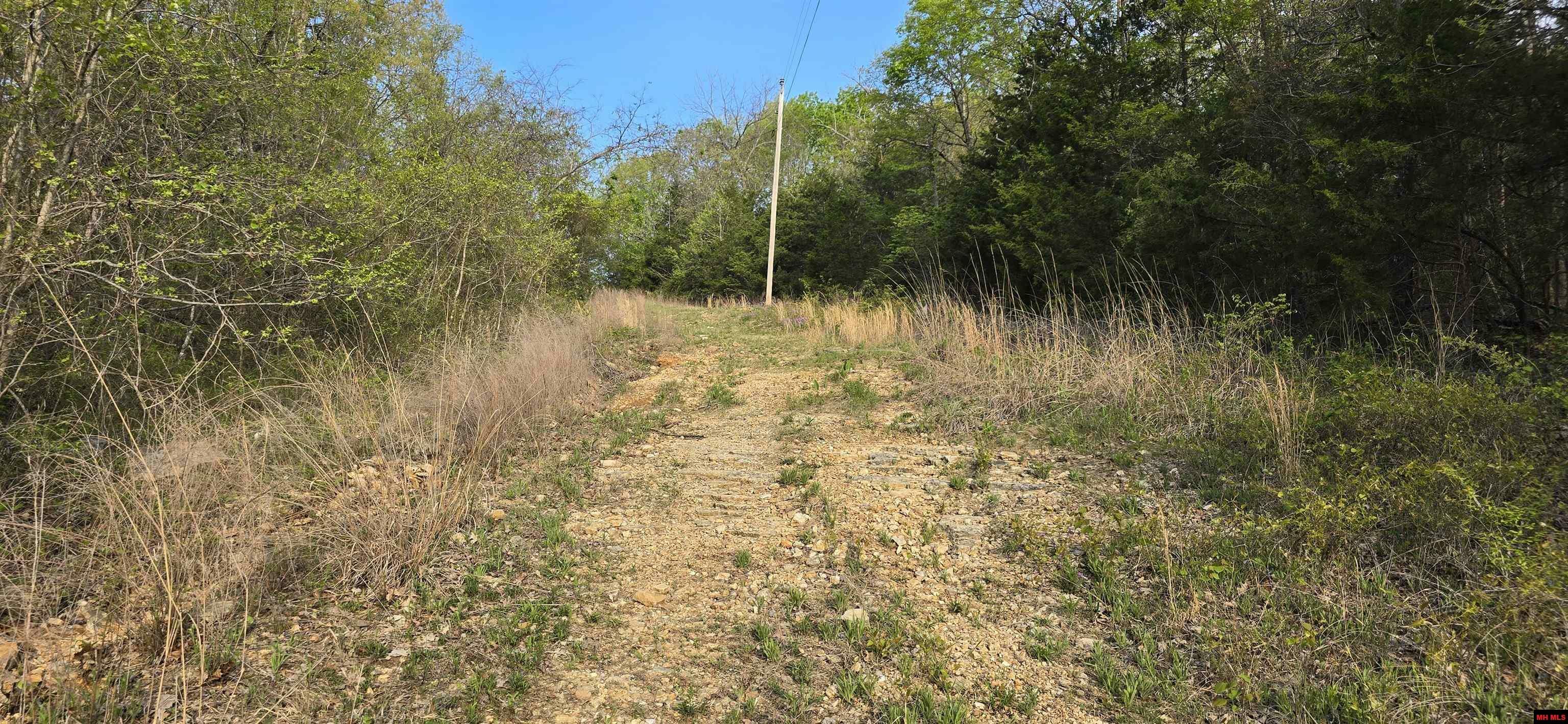 Property Photo: 167 New Hope Lane AR 72653