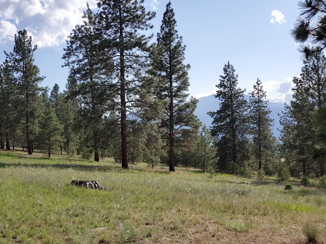 Property Photo: 4784 Cameron Rose Lane MT 59870
