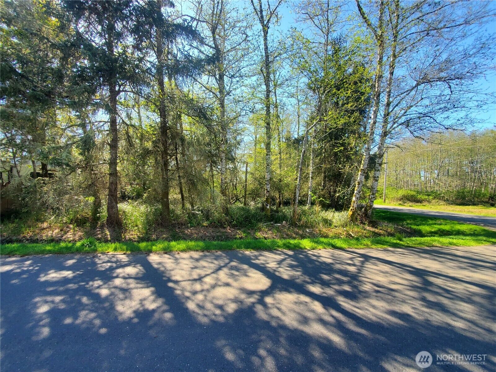 Property Photo:  799  Edgewood Avenue NE  WA 98569 