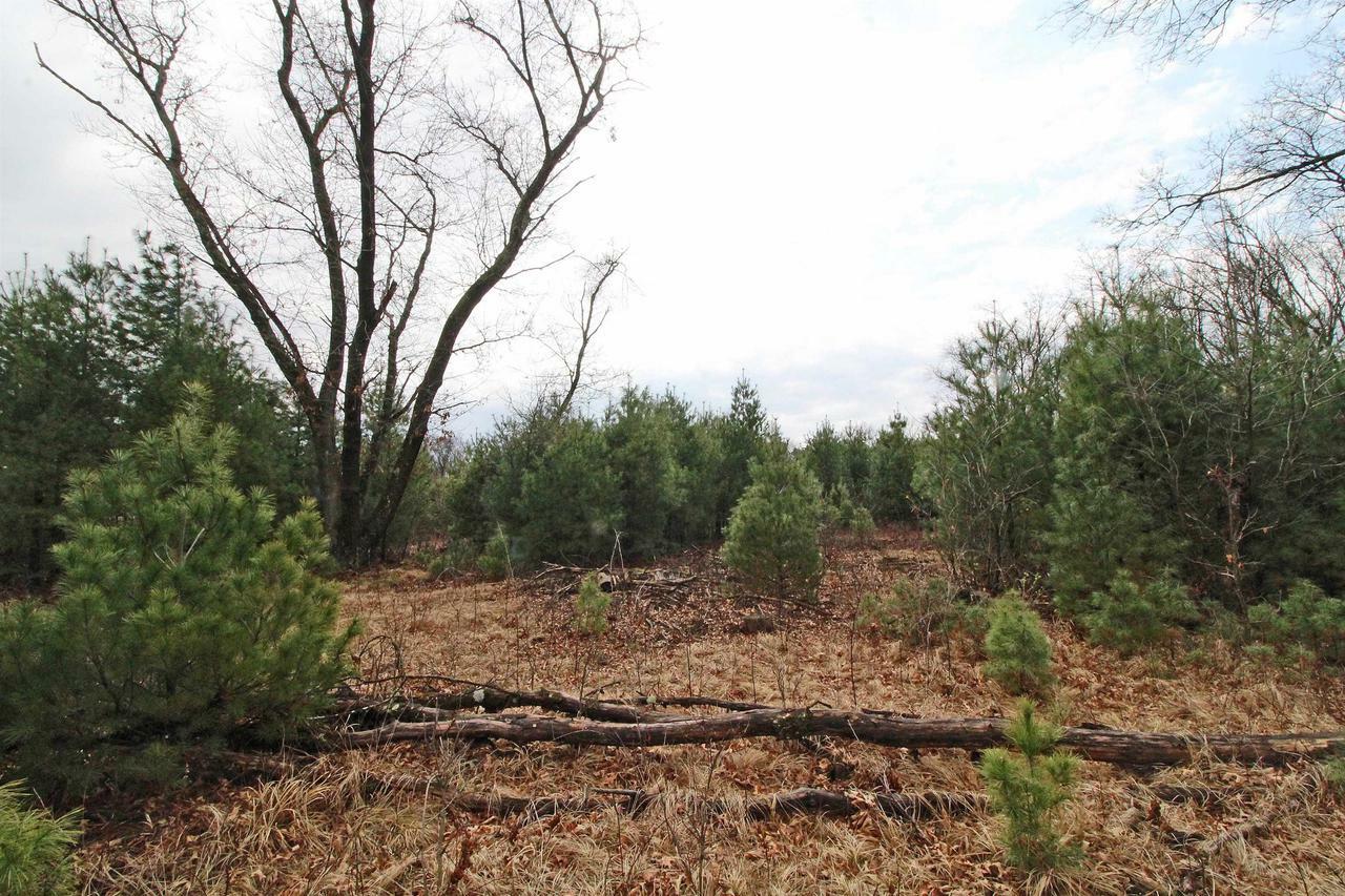 Property Photo: Lot19 Timber Trail WI 53588