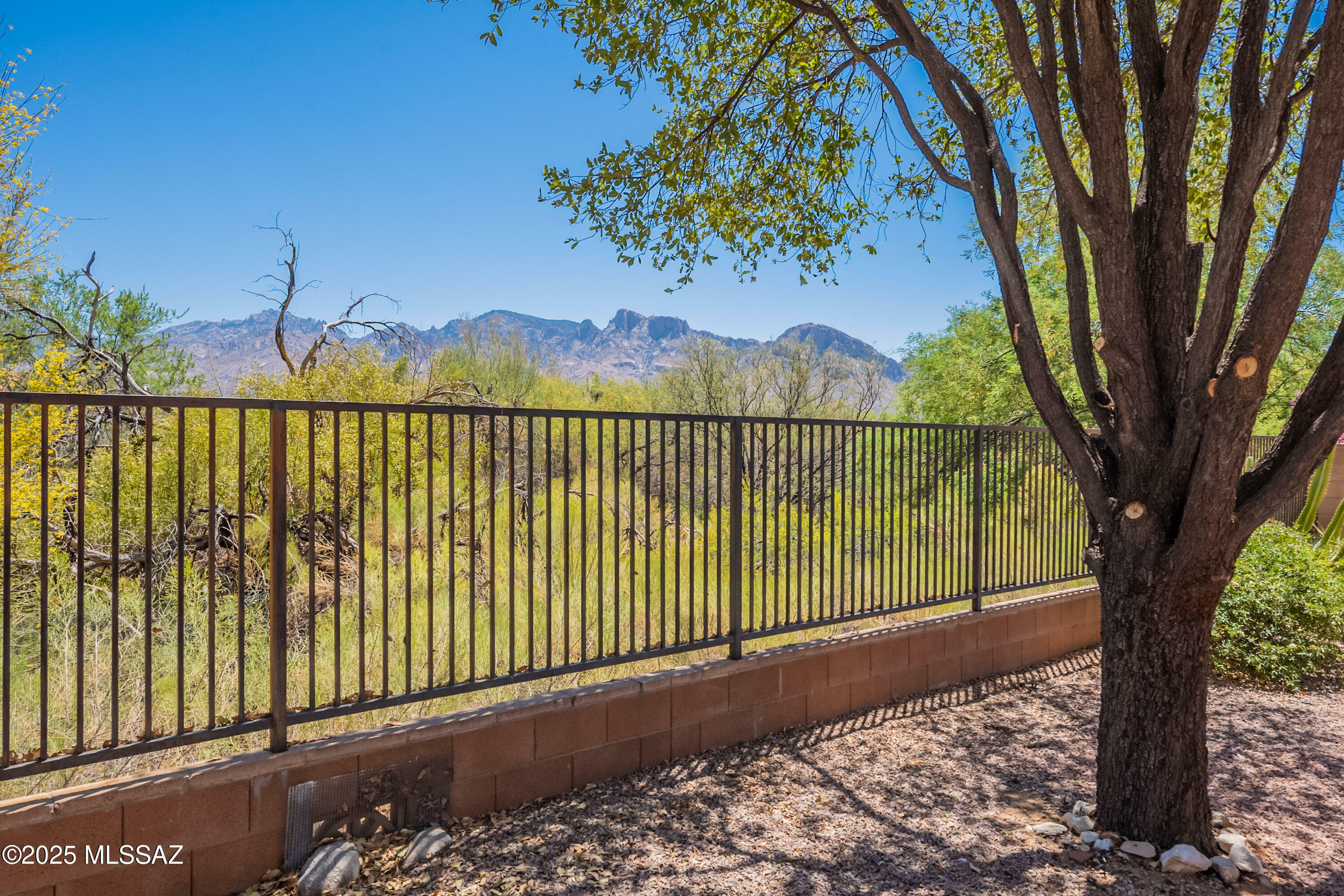 12220 N New Dawn Avenue  Oro Valley AZ 85755 photo