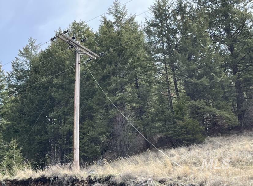 Property Photo:  Tbd State Highway 129  WA 99401 