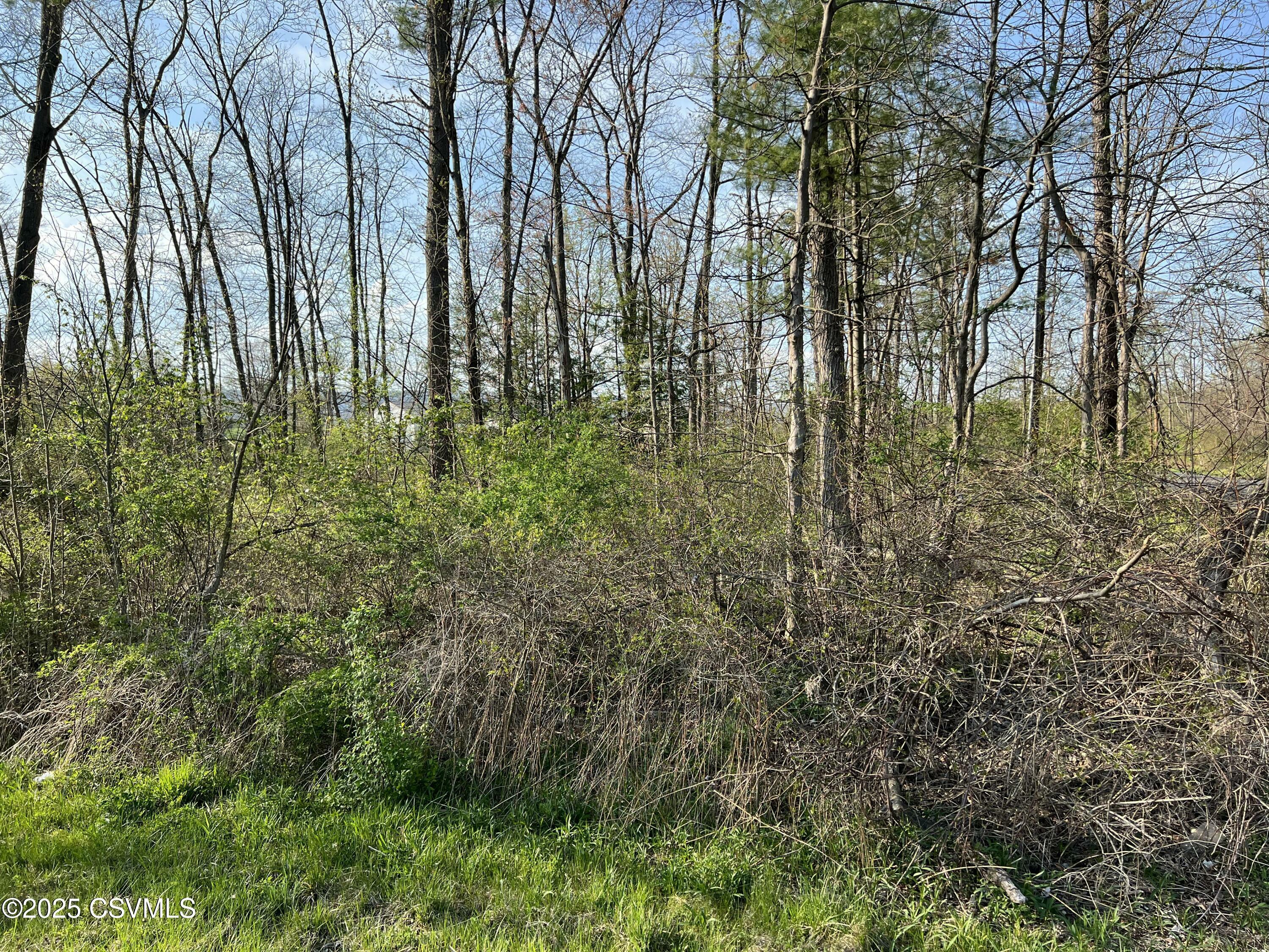 60 Foster J Smith Road  Lewisburg PA 17837 photo
