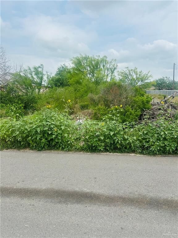 Property Photo: 0 N La Paloma Street TX 78582