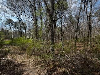 Property Photo:  Vl Lambert Avenue  NY 11950 