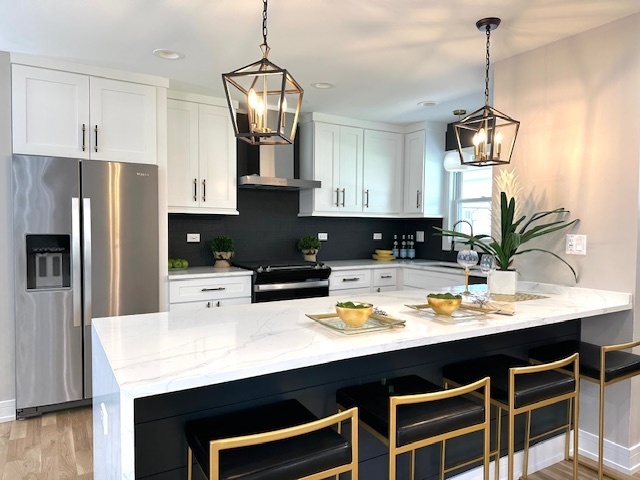 903 Jarvis Avenue  Des Plaines IL 60018 photo