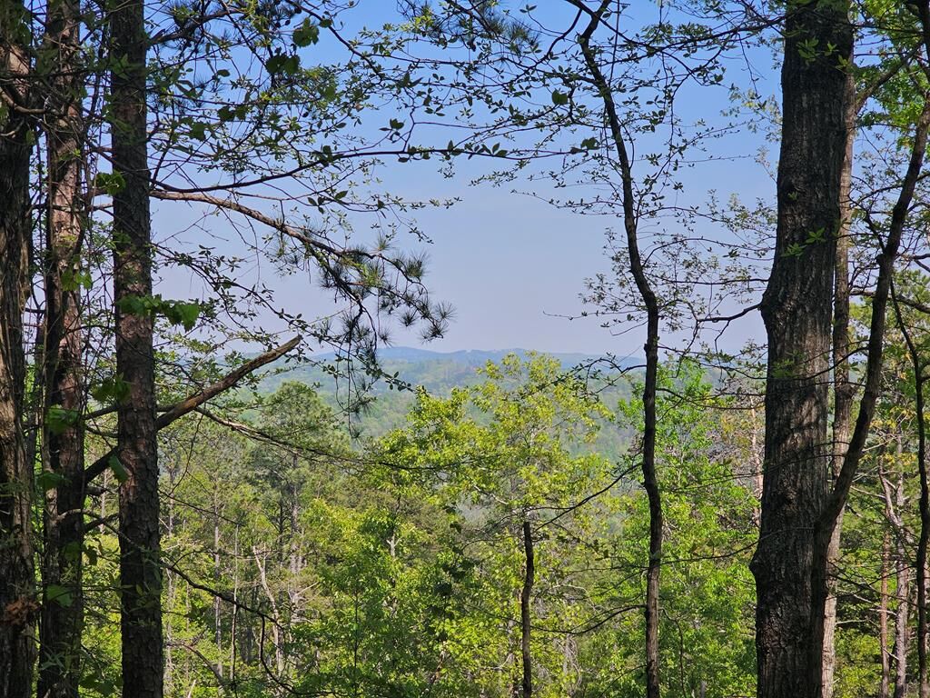 Property Photo:  391 Meteor Court  GA 30734 