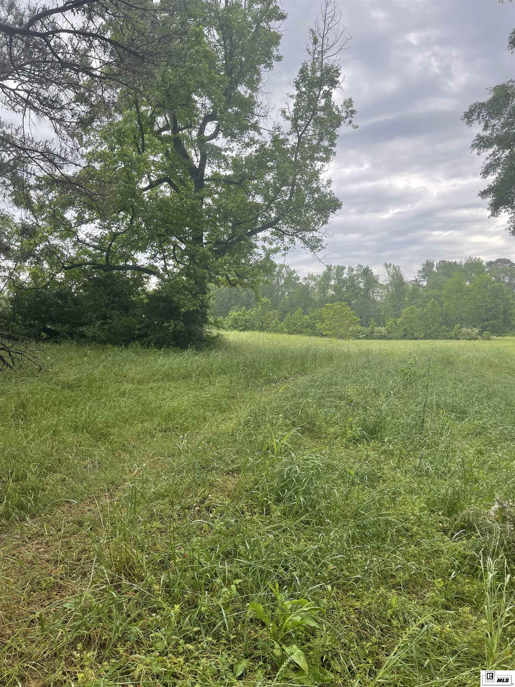 Property Photo: 000 Leland Pardue Road LA 71226