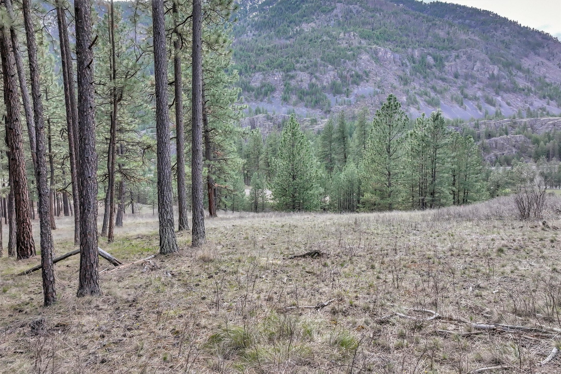 Property Photo: Nhn Profile Rock MT 59820