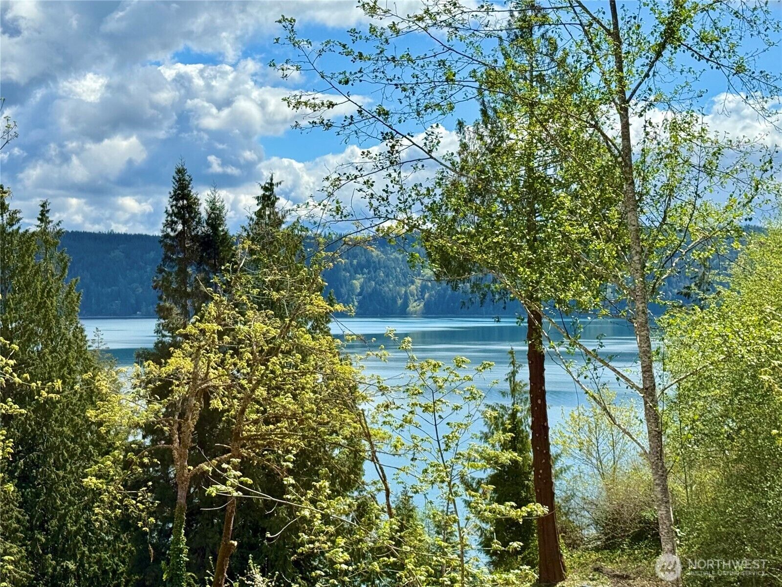 Property Photo:  147 N Shar Lane  WA 98555 