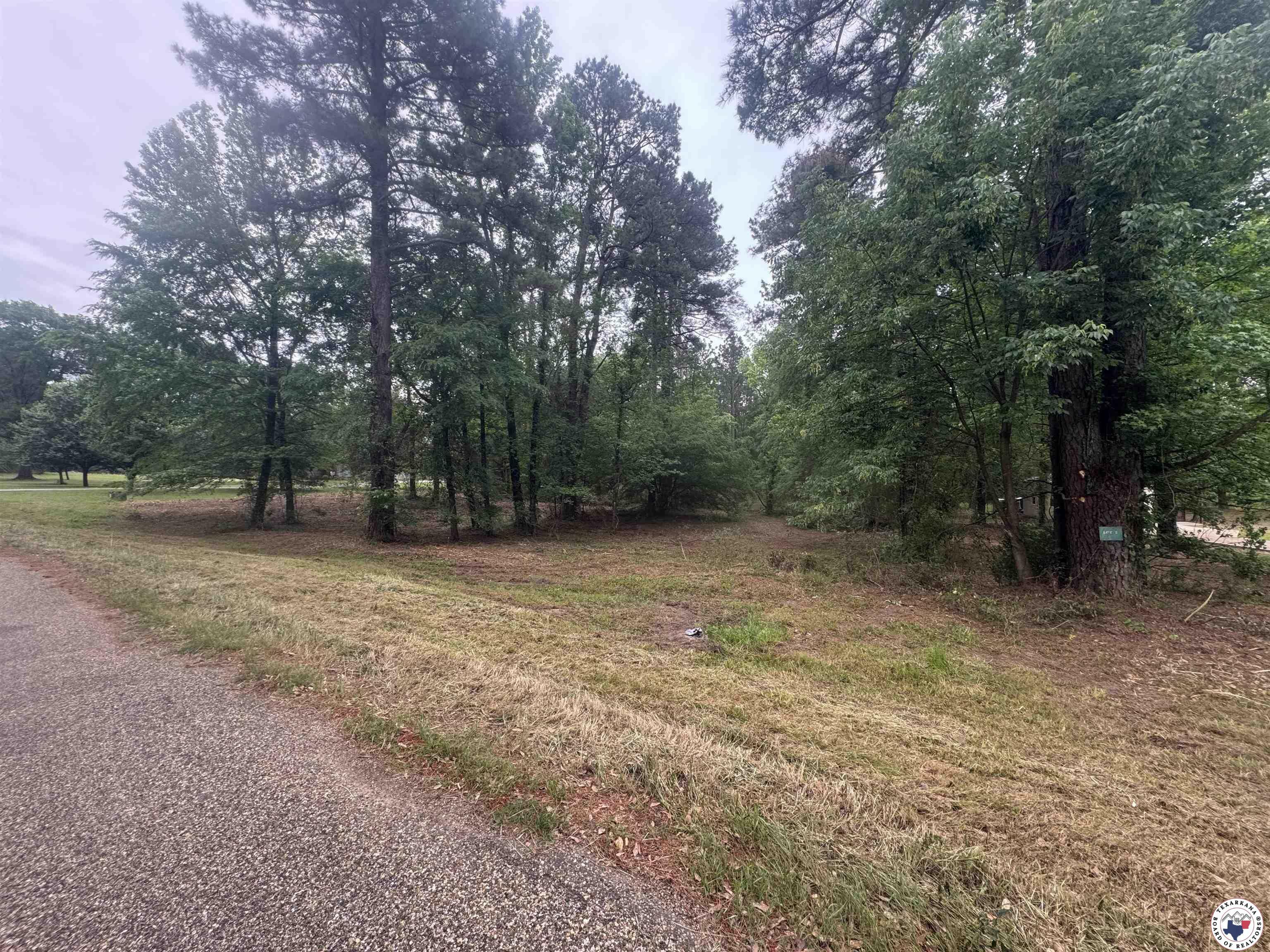 Property Photo: 0 Holly Creek Rd. TX 75503
