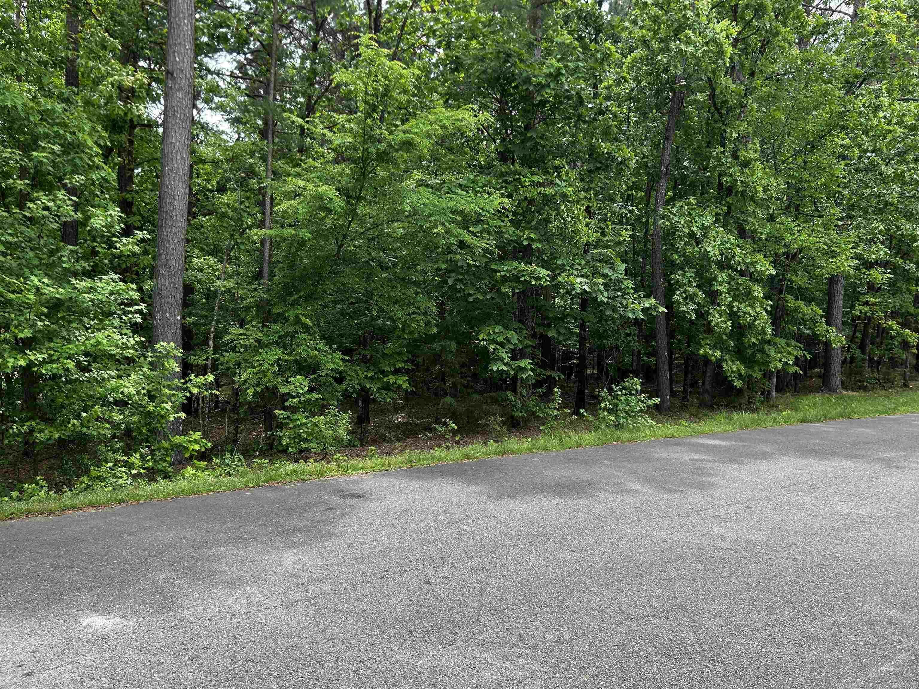 Property Photo: 10 Purista Lane AR 71909