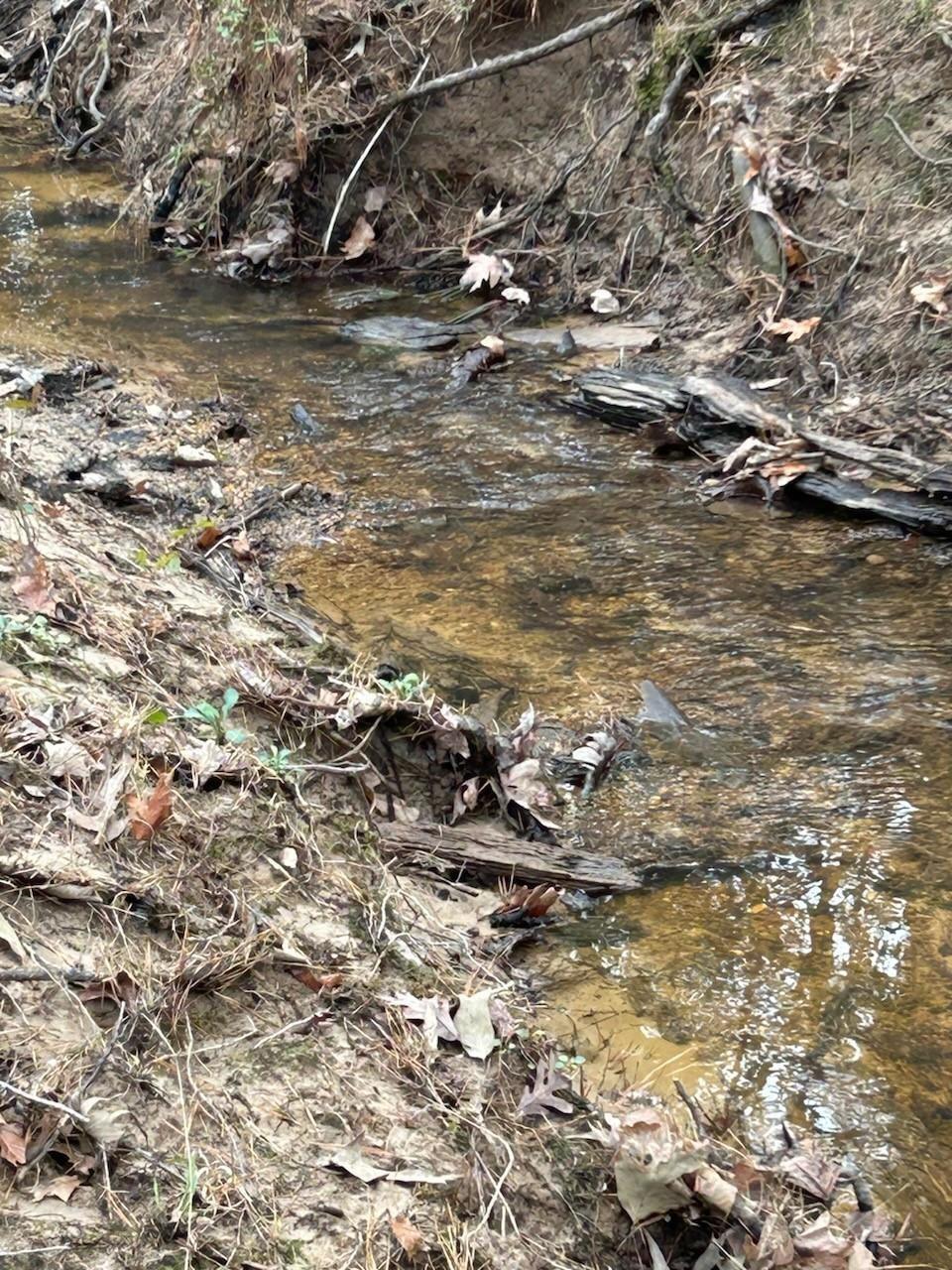 Property Photo: Tbd Lloyd Walker Rd TX 75949