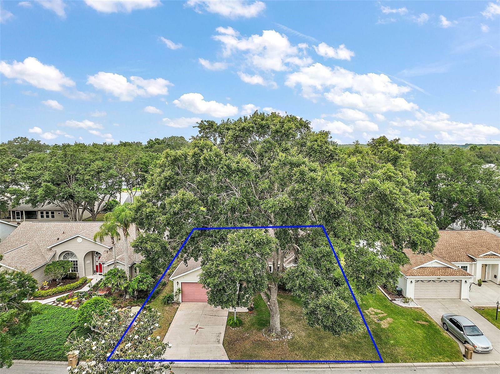 Property Photo: 25333 River Crest Drive FL 34748