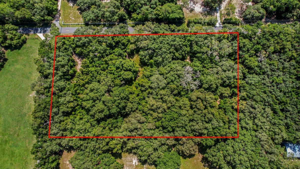 Property Photo: 37215 Rolling Acres Road FL 32159